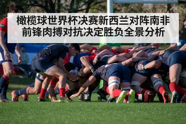 橄榄球世界杯决赛新西兰对阵南非前锋肉搏对抗决定胜负全景分析