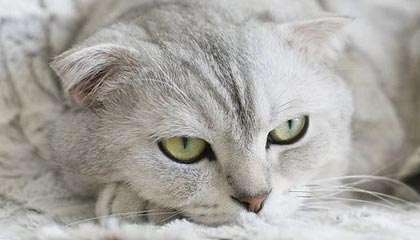 开云官网-卫冕第一步 如何迈得稳