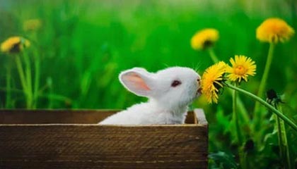 开云体育官网-2025中国金球奖各奖项得主揭晓